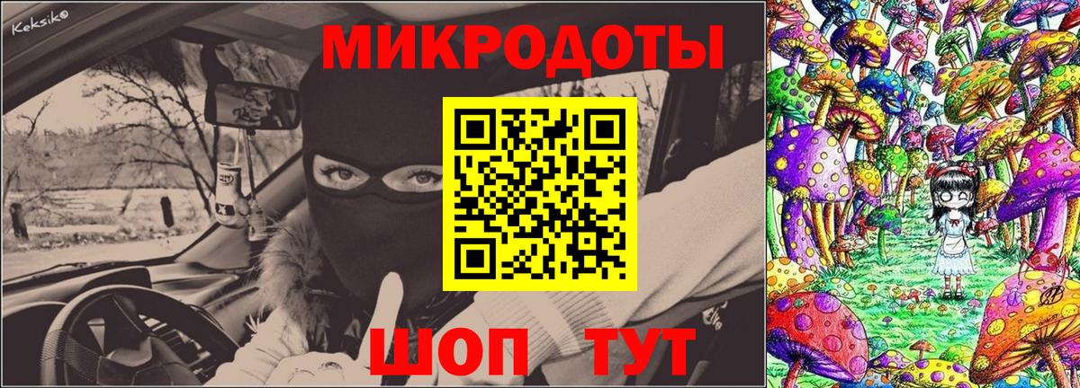Юрга  Псилоцибиновые грибы Cubensis  Вход с VPN  Галлюциногенные грибы GOLDEN TEACHER 